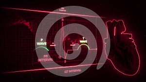 P and T Wave of Electrocardiogram Wave or ECG or EKG