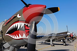 P-40 Warhawk on Flight Line