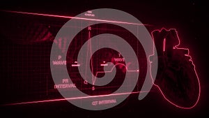 P Wave from Electrocardiogram Wave or ECG or EKG