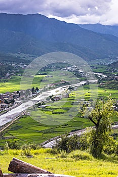 Pa Chhu and rice field of Paro valley , Paro , Bhutan