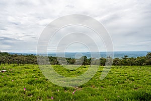 Pa Hin Ngam National Park Chaiyaphum, Thailand