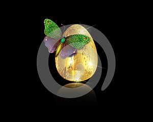 Realistic golden egg with luxury butterfly, Easter concept vector illustration isolated on black background