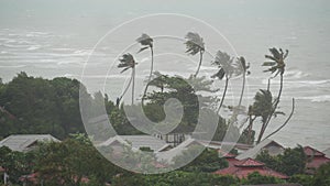 Pabuk typhoon, ocean sea shore, Thailand. Natural disaster, eyewall hurricane. Strong extreme cyclone wind sways palm trees.