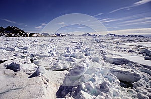 Pac ice Greenland photo