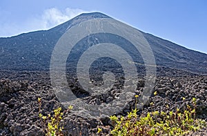 Pacaya Volcano Lava Field