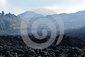 Pacaya Volcano near Antigua Guatemala