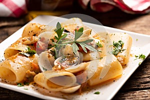 Paccheri pasta with clams on white plate