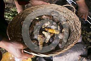 Pachamanca ceremony in Peru. photo