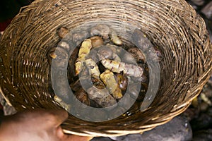 Pachamanca ceremony in Peru. photo