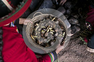 Pachamanca ceremony in Peru. photo