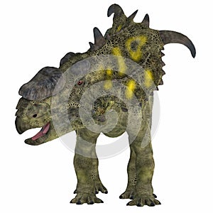 Pachyrhinosaurus Dinosaur on White