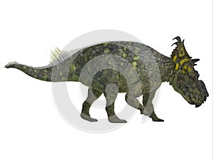 Pachyrhinosaurus Side Profile