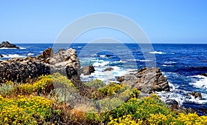 The Pacific Coast Highway in California