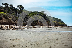 Pacific Coast Olympic National Park Washington State