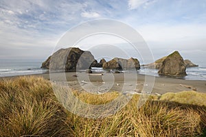 Pacific coast in oregon