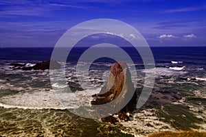 Pacific Coast Oregon