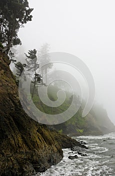 Pacific Coast rocky rugged shoreline in misty fog photo