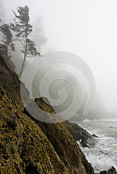 Pacific Coast rugged cliff shoreline misty mystery