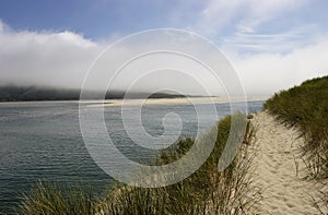 Pacific Coast - Sandy shoreline beaches