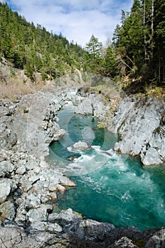 Pacific coast scenic forests