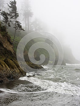 Pacífico Costa costa rocoso acantilados a niebla 