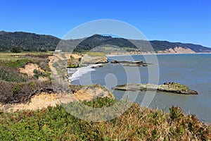 Pacific Coastline at Ano Nuevo State Park, Central California, USA photo