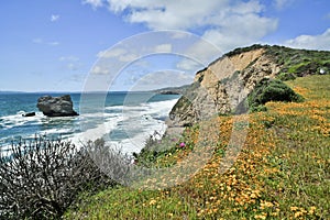 Pacific Coastline near Arch Rock/Bear Valley trail in Point Reyes National Seashore