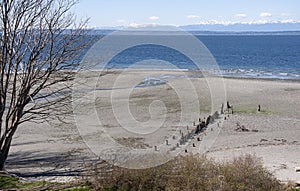 Pacific Northwest beach landscape