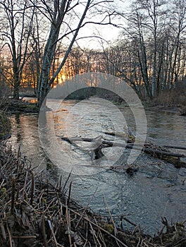 Pacific Northwest creek in autumn