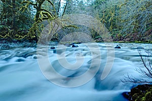 Pacific Northwest mountain river