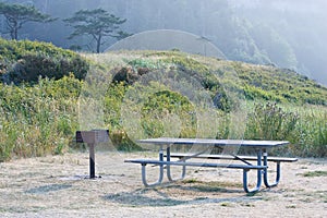 Pacific northwest picnic table area