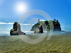 Pacific Northwest Rocky Beach Shoreline