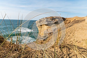 Pacific Ocean Beach, West Coast Oregon. City Cape Kiwanda