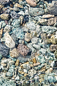 Pacific ocean bottom rocks