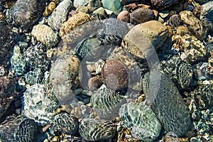 Pacific ocean bottom rocks