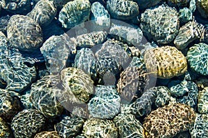 Pacific ocean bottom rocks photo