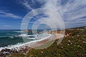 Pacific Ocean - California, nearby Monterey, California, USA