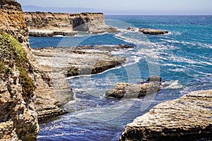 Pacific Ocean Coast Harbor seals resting on rocks, Wilder Ranch State Park, California