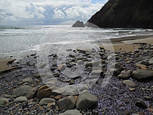 Pacific Ocean coastal beach Indian Point Ecola State Park Oregon photo