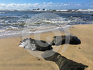 Pacific Ocean Coastline, Half Moon Bay