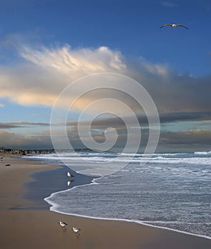 Pacific Ocean, San Diego, California