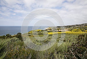 Pacific Ocean seen from hiking trail in Laguna Beach