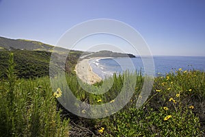 Pacific ocean seen from the top of a hill.  Hiking during spring in Orange County,  California