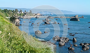 Pacific Ocean Shore line near Crescent City California