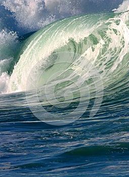 Pacific Ocean Surfing Wave