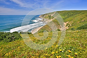 Pacific Ocean from Tomales Point Trail, Point Reyes National Seashore