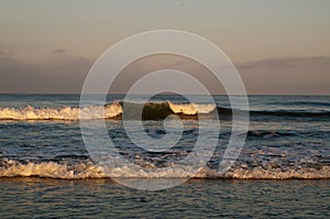 Pacific ocean waves in the early morning sunlight