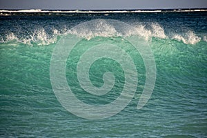 Pacific ocean waves on the shore