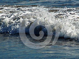 Pacific Ocean Waves in Southern California