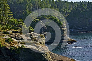 Pacific Shore Cliffs